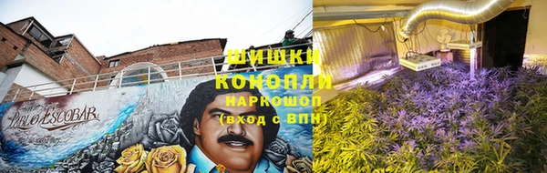 гидропоника Няндома