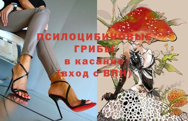 гидропоника Няндома