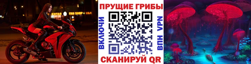 Галлюциногенные грибы Psilocybine cubensis  Купить закладки  Луза 